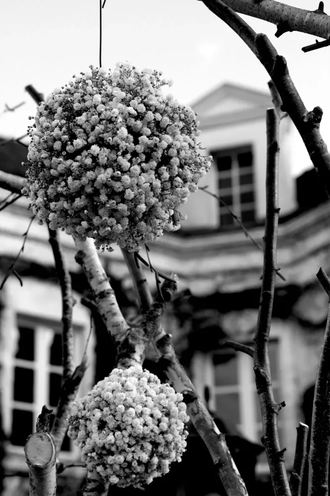alphaphotographie-reportage-nantes (12)