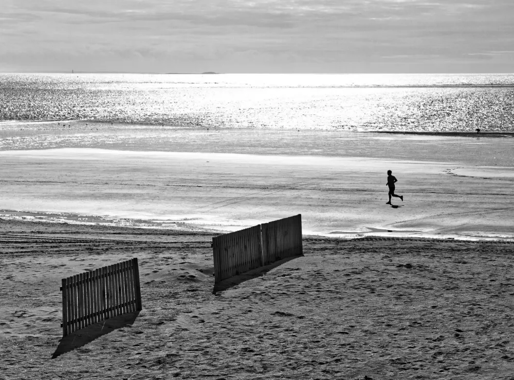 alphaphotographie-passion-nantes (34)